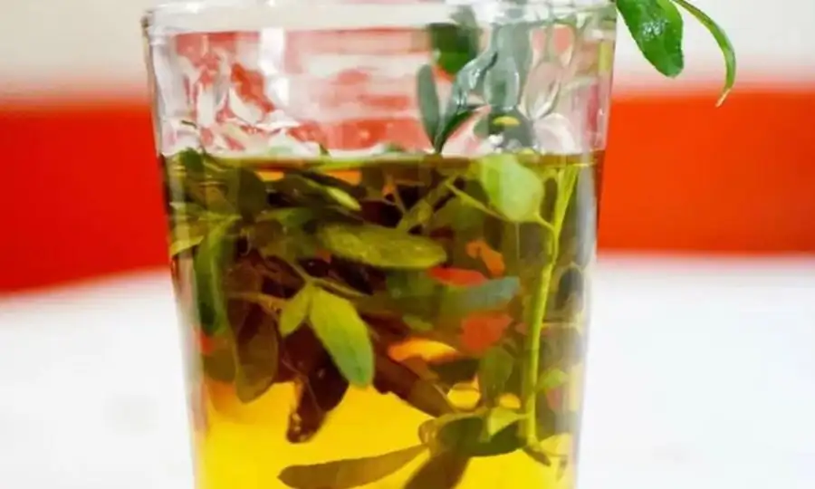 DÍA DEL POHA ÑANA EN PARAGUAY